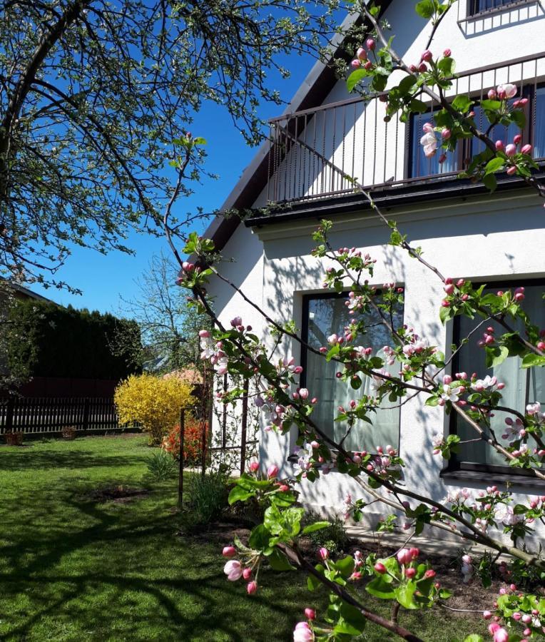 Dina Apartments Druskininkai Extérieur photo